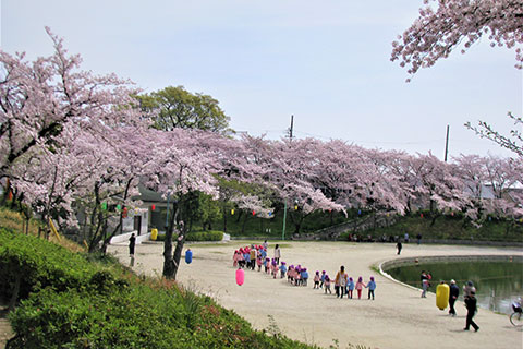 天王川桜と園児